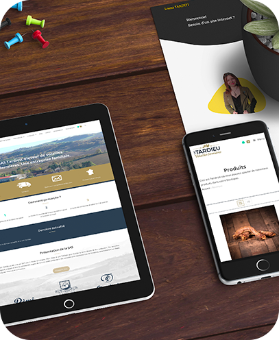 Site internet SAS Tardieu